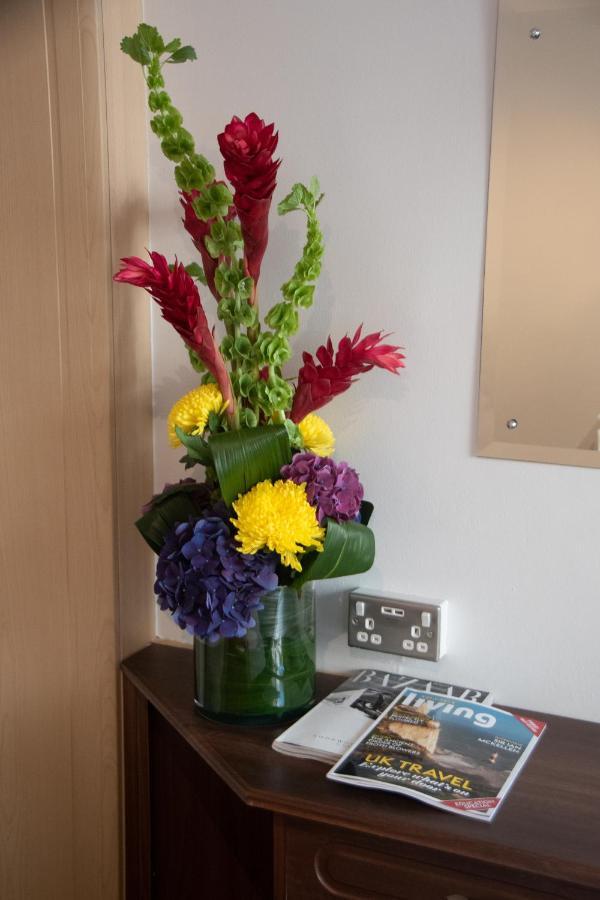 New Steine - Hotel Brighton